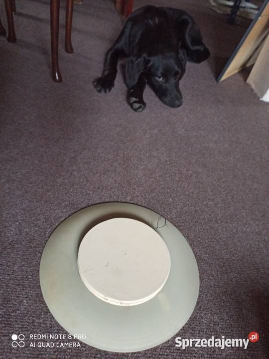 Szklany talerz Z przyjacielem w świat Do Gdańsk