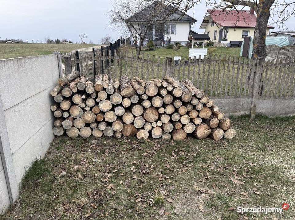 Drewno opałowe Sosna Opał