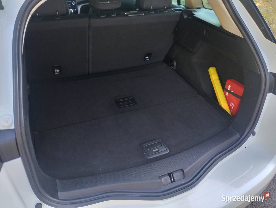 Renault Megane Renault Megane 13 TCe FAP wersja Bydgoszcz sprzedam