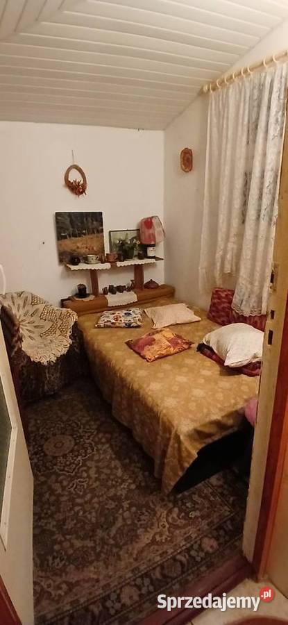 Działka ROD Gaj Janowiecka 77 Sprzedaż mazowieckie Warszawa sprzedam