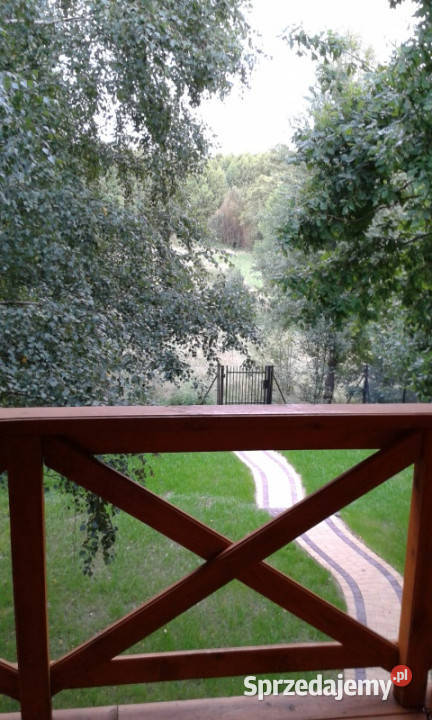 Domek letniskowy do wynajęcia rzeką Wartą Raduczyce