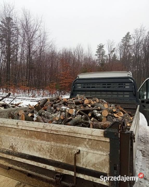 Drewno BukDąbSosnaBrzoza Rumia