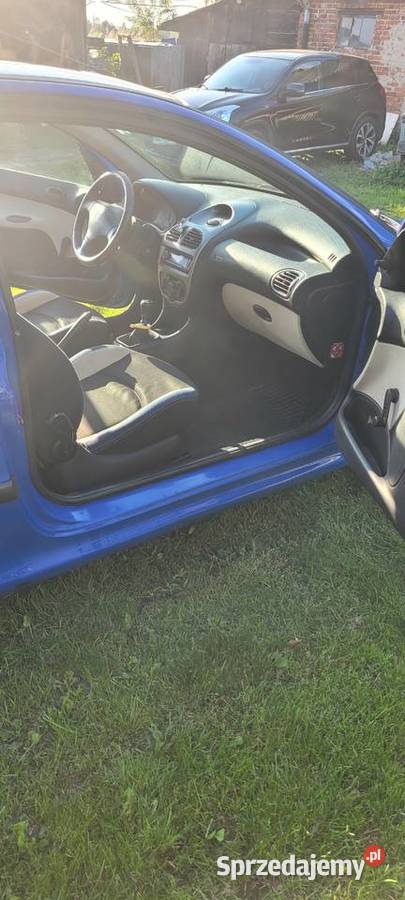Peugeot 206 Koźliny