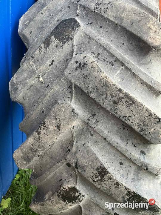 Opona 169x34 Firestone Kobiele Wielkie