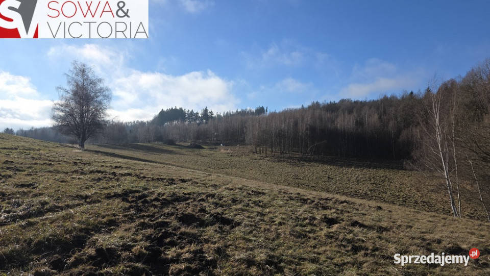 Rezydencjalna działka budowlana w Górach Sowich utwardzona