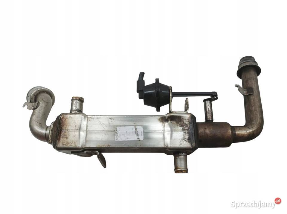 CHŁODNICA SPALIN A6461400776 7 22 CDI