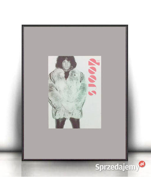 vintage plakat the doors Jim Morrison plakat A4