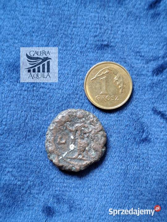 Tetradrachma Maksymian Aleksandria Wejherowo