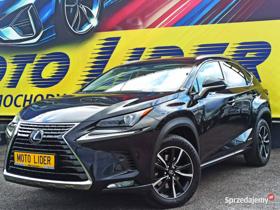 Lexus NX Salon 2 wł AWD Bogata Wer Serwis kamera cofania Rzeszów