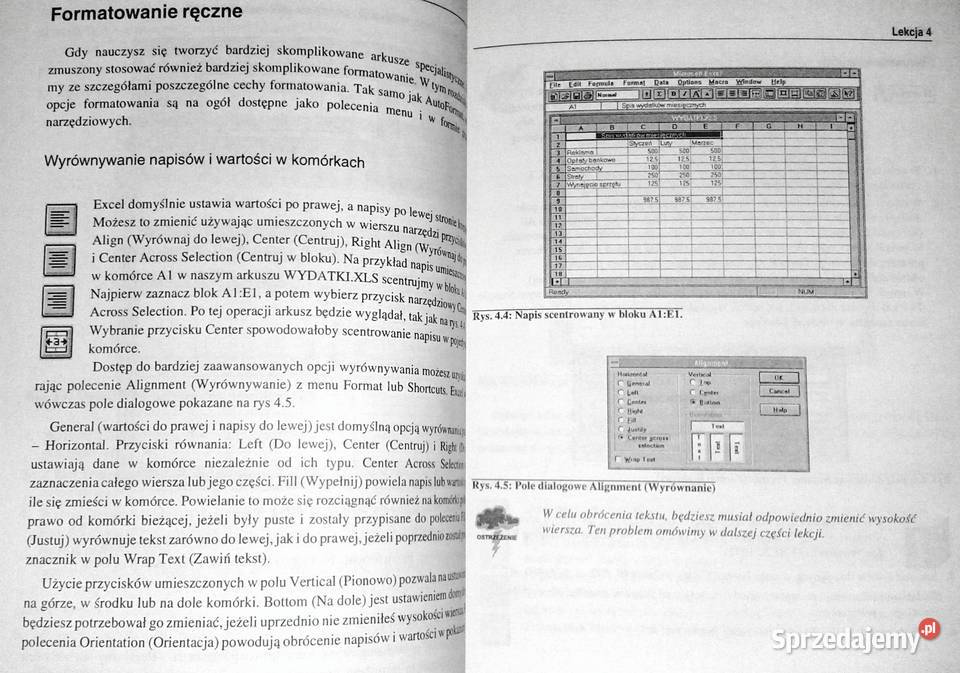 EXCEL 4 Windows Szybki start Stephen L Nelson