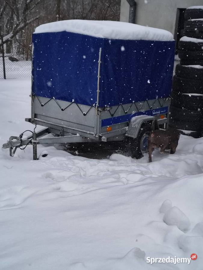 Przyczepka samochodowa Niewiadów Bartoszyce