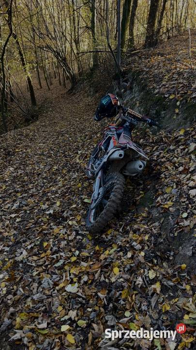 Cross Honda crf 250 Honda Bronice-Kolonia