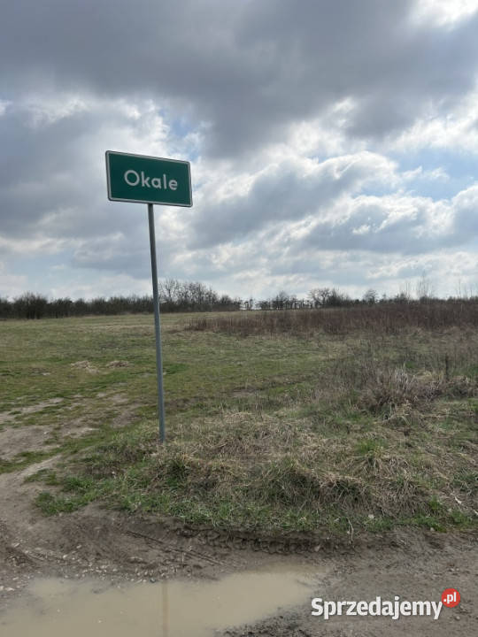 Piękna Działka na Wsi Okale k Kazimierz Dolnego Kazimierz Dolny