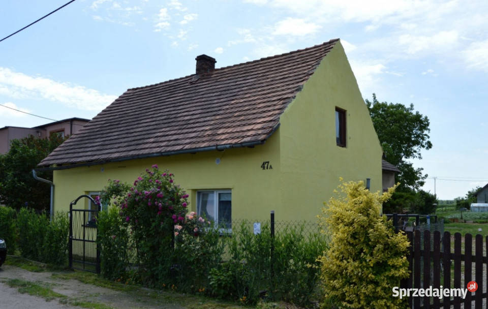 Sprzedam Dom na wsi Dobrzeń Oleśnica 6 Wrocław