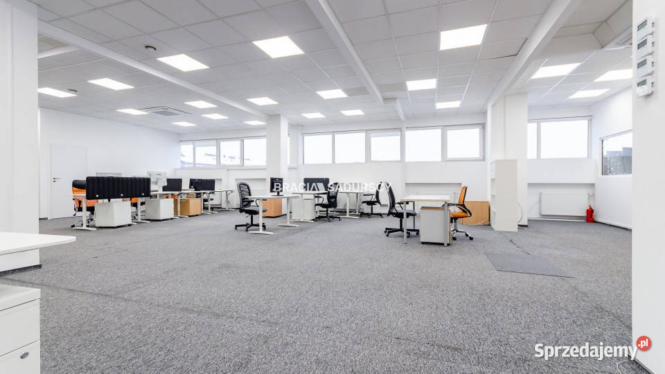 Lokal 300m2 Kraków Prądnik Biały biurowy sprzedam