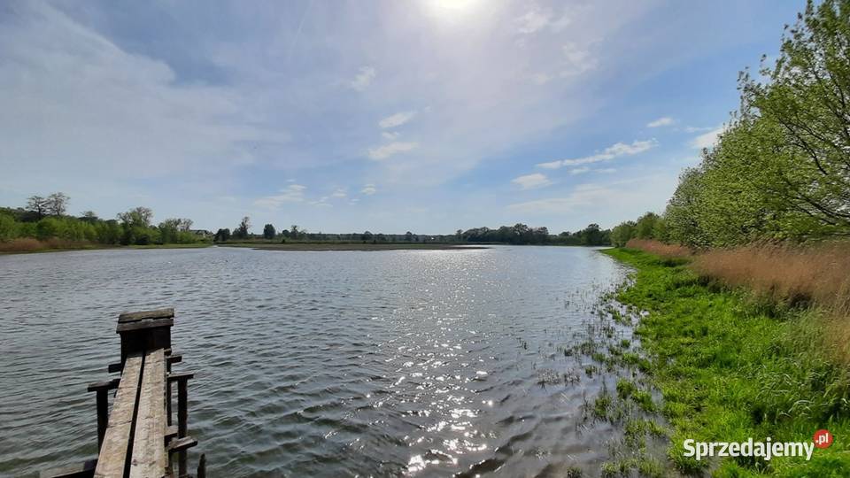 Działka rolna w Iłownica rolna