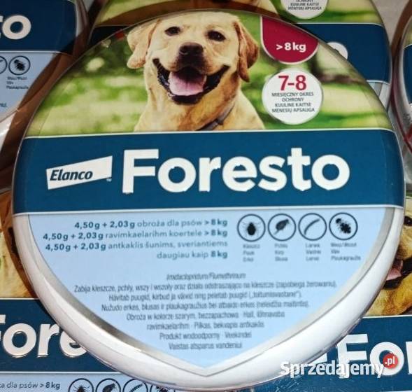 Obroża psa sprzedam