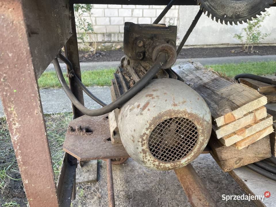 Krajzega piła stołowa 22 kW Ryczywół