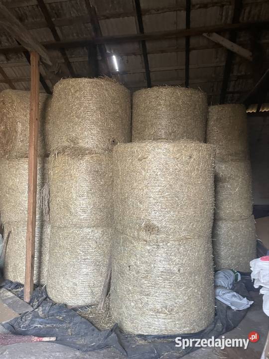 Sprzedam slome Białynin-Latków