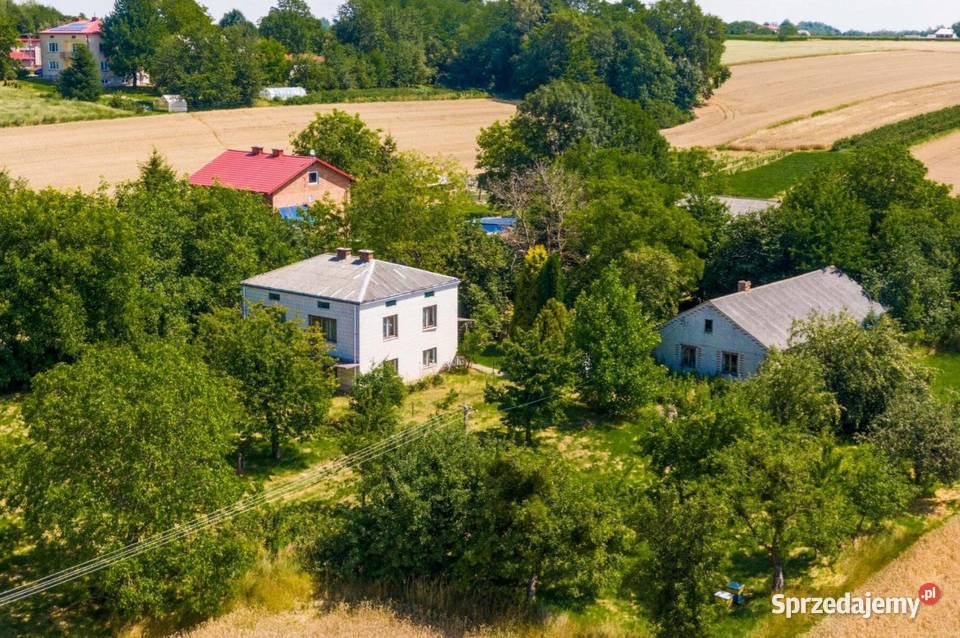 Siedlisko 6158 m² | Dom 130 m² | 4 budynki | Agroturystyka