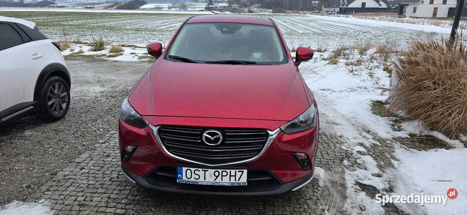 CX3 20 AutSkyPassion Najbogatsza wersja nieuszkodzony