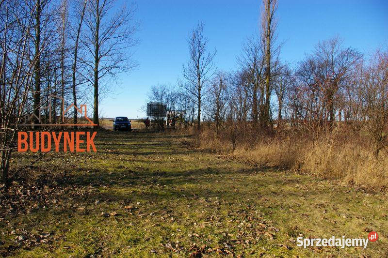 Działka przemysłowa Cisowo 85m
