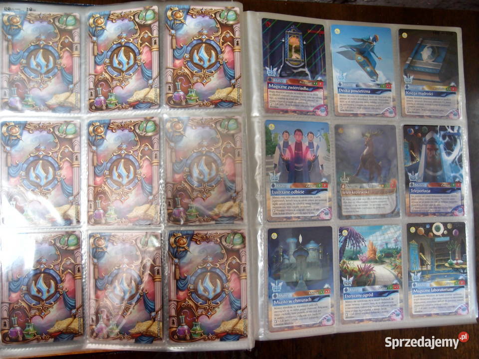 Duża kolekcja Kart Fantasy Riders 336 plansza