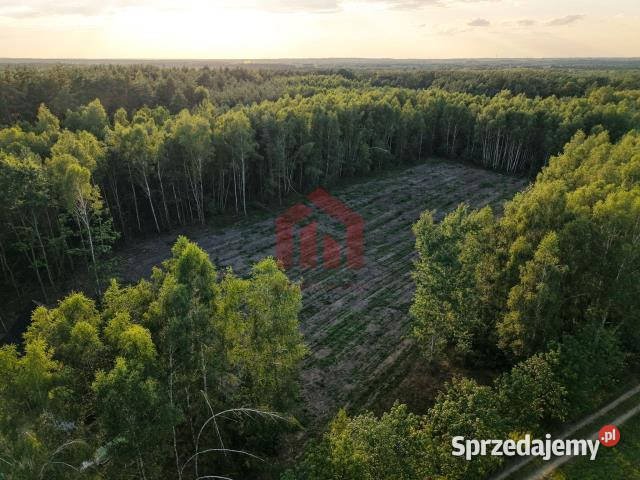 Działka 900m2 Czarna Sędziszowska