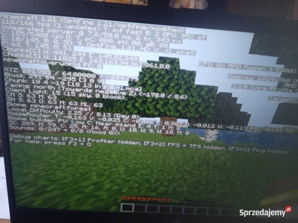 Ryzen HP 3 5300u Okonek