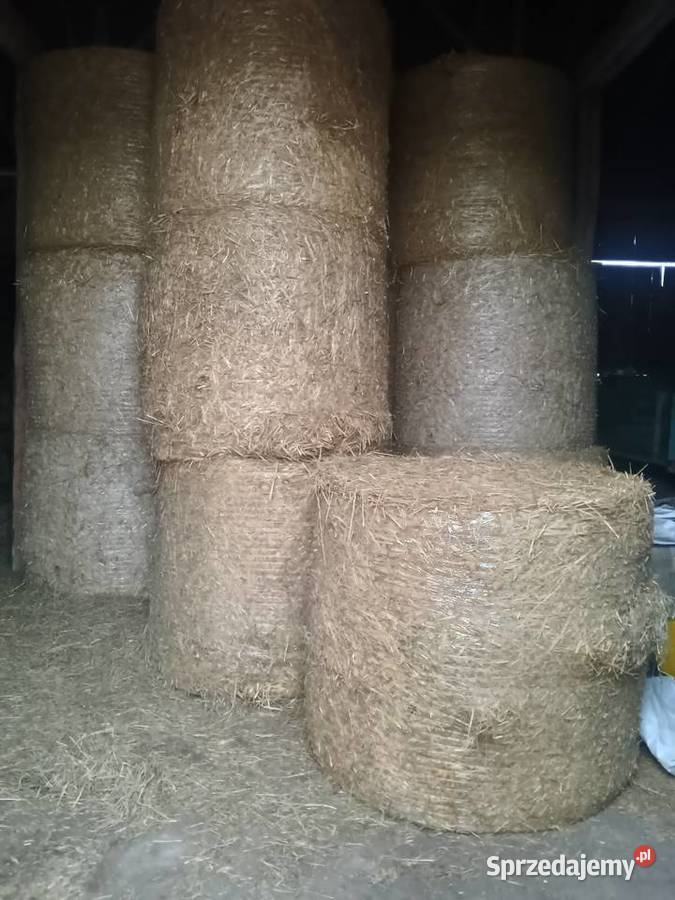 Siano w kostkach i słoma w belach 120 x 120 łódzkie Opoczno