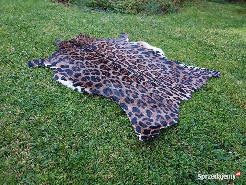 Skóra z Lamparta Dywan Zwierzęcy Naturalna Skóra Szaflary