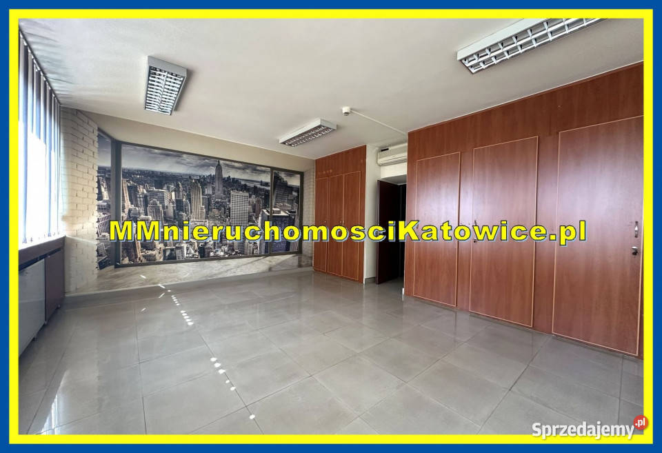 Biura do wynajęcia w Katowicach biurowiec duży