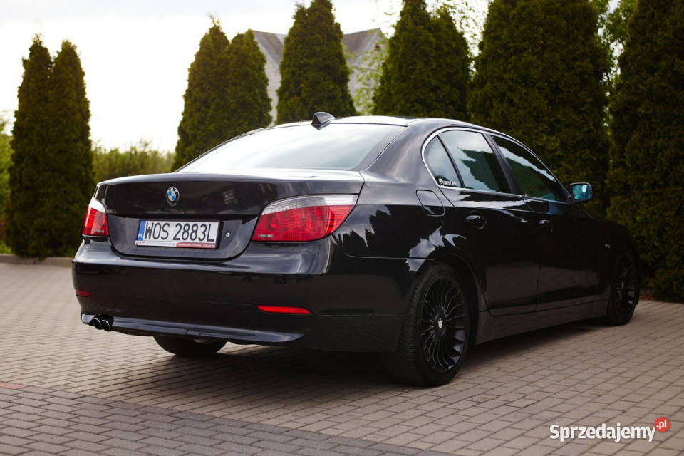 BMW 530 E60 20032010 immobilizer BMW Rzekuń