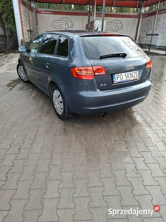 Audi a3 lubuskie Kolsko