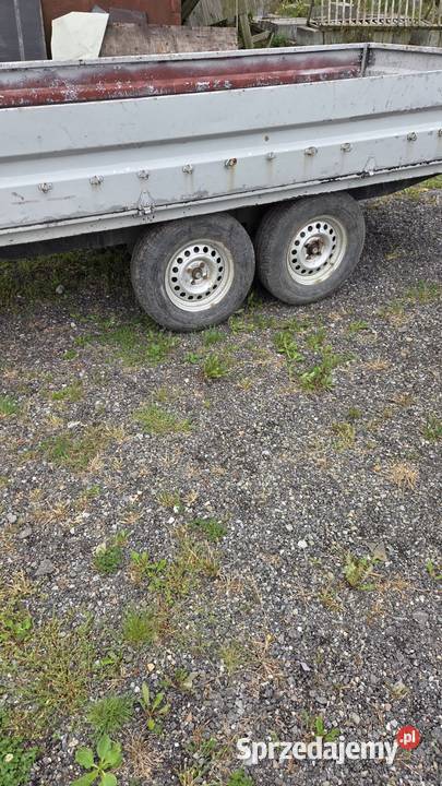 Sprzedam 2 Rudzica sprzedam