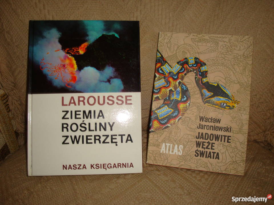 Baśnie Andersen Baśnie, podania i legendy Warszawa