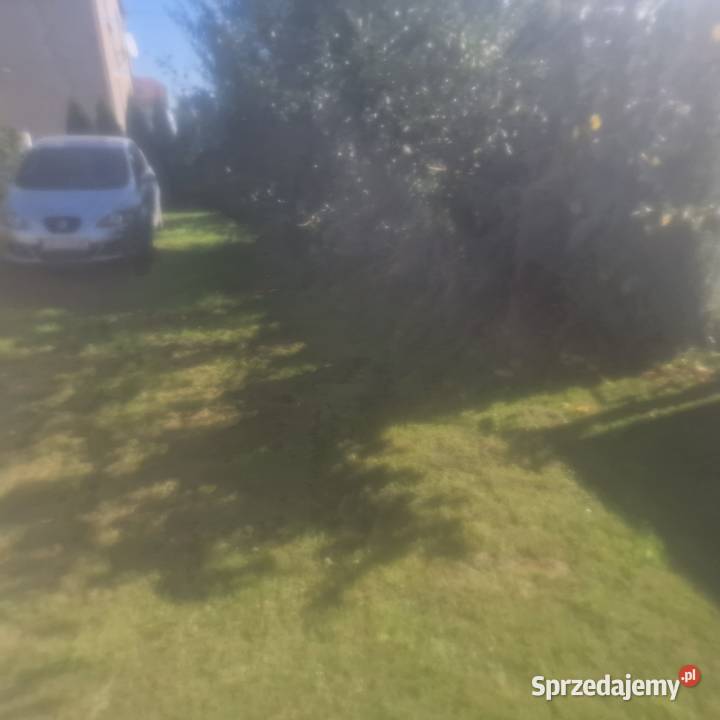 Sprzedam dom do remontu dachówka Krzanowice