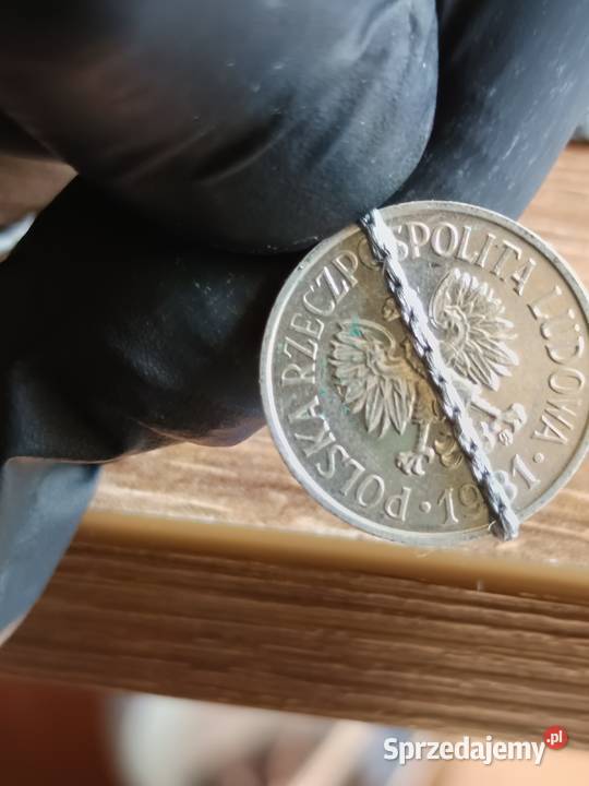 Sprzedam monete 20 groszy 1981 skretka Chełm