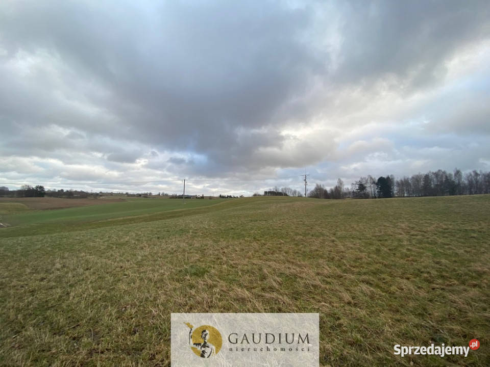 Działka w Pomieczyńskiej Hucie Pomieczyńska Huta sprzedam