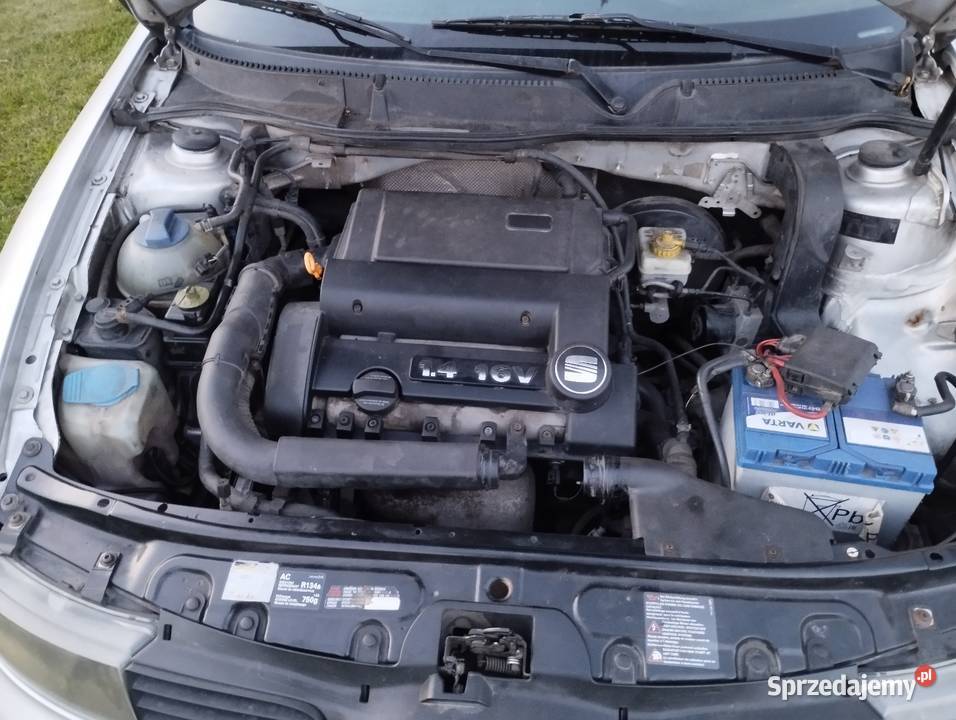 Seat Leon 1 Rok produkcji 2002 Transbór sprzedam