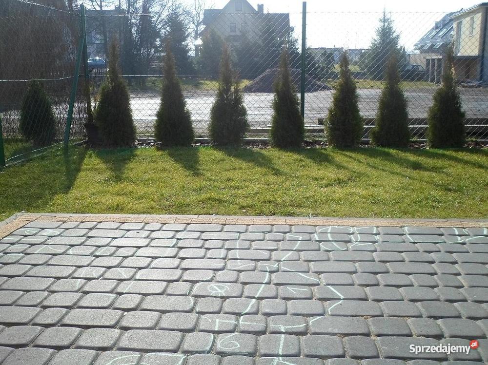 dom Radunica Pruszcz Gdański Radunica