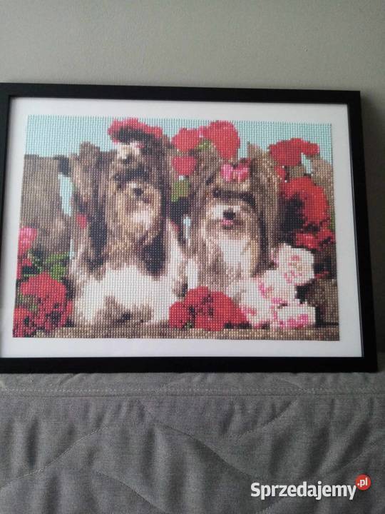 Pieski haft diamentowy Obrazki i obrazy Jarocin sprzedam