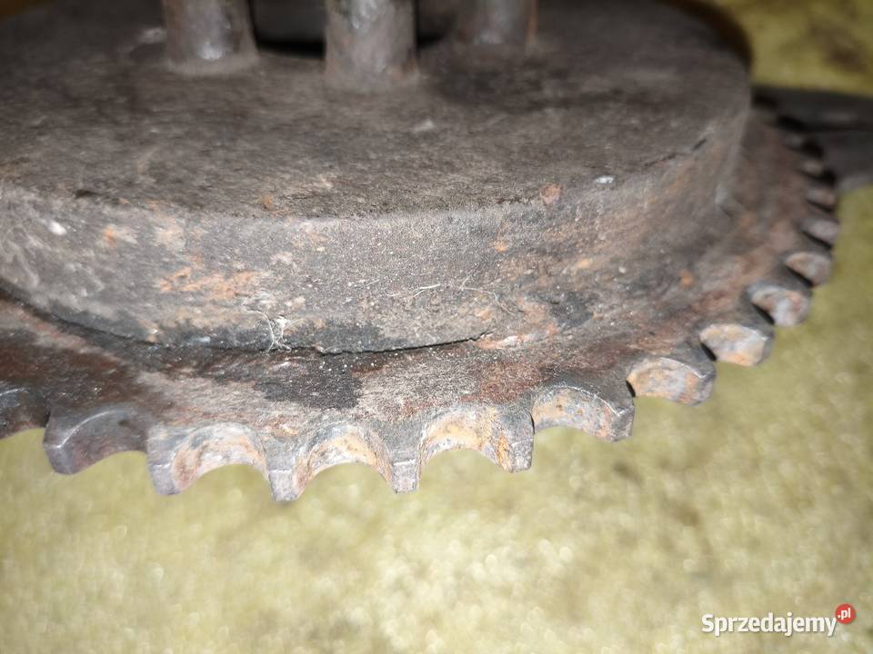 Tarcza kotwiczna zębatka tylna IŻ49 Zębatki napędowe Motoryzacja Leszno