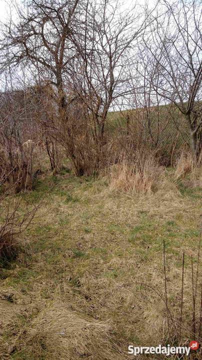 Ogródek działkowy Ostrowiec Świętokrzyski sprzedam