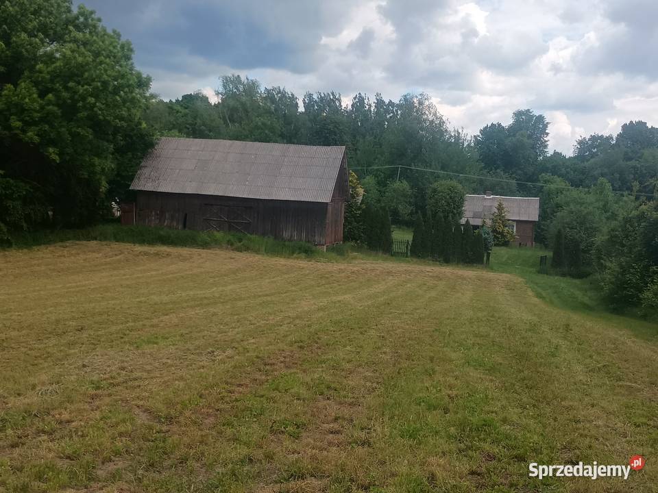 Sprzedam siedlisko w miejscowości Rudnik drugi asfalt sprzedam