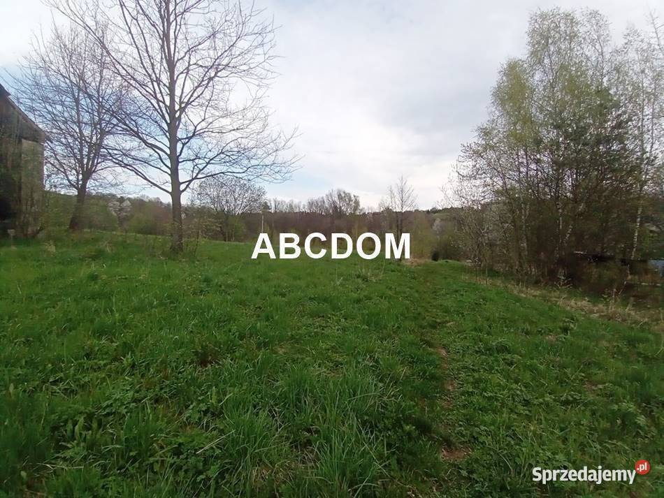 Raciborsko 39 ara łąki Tereny Z las Tereny ZL