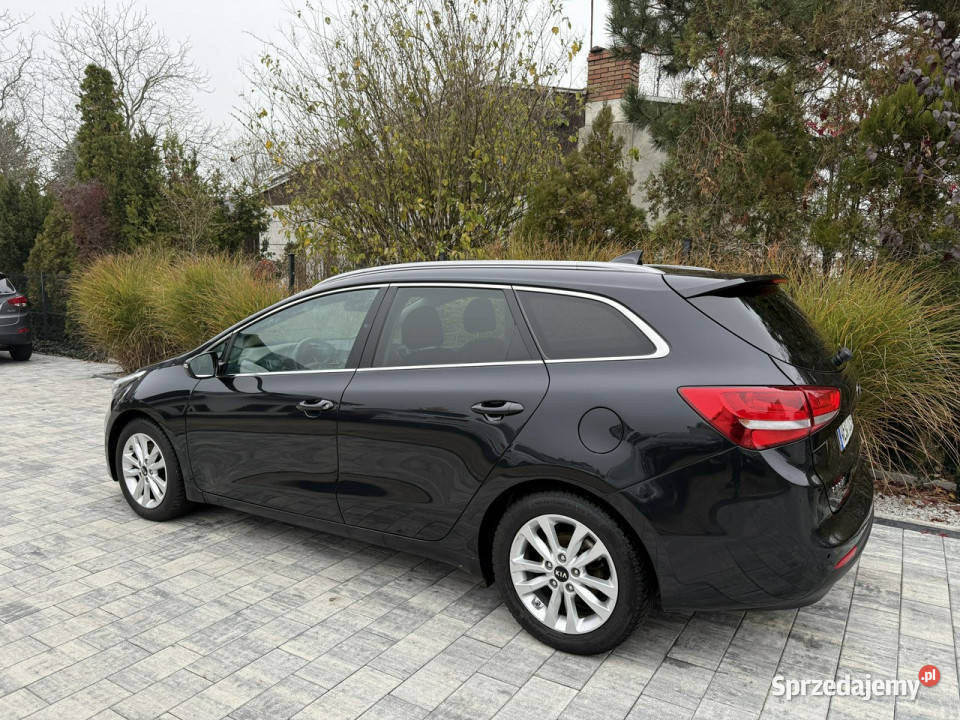 Kia Ceed Zadbana bezwypadkowa przepiękny perłowy Poznań