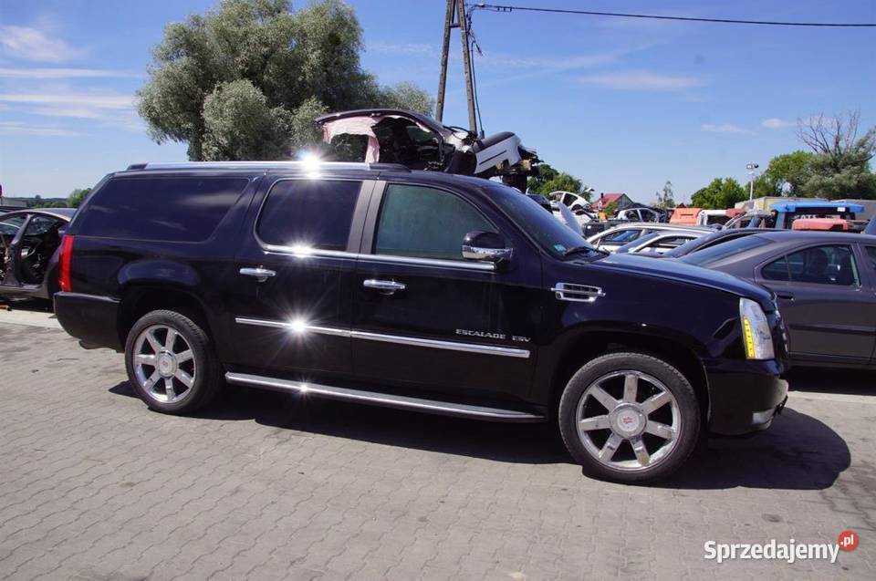 DRZWI PRAWE TYŁ CADILLAC ESCALADE ESV KOMPLETNE osobowe Lipno