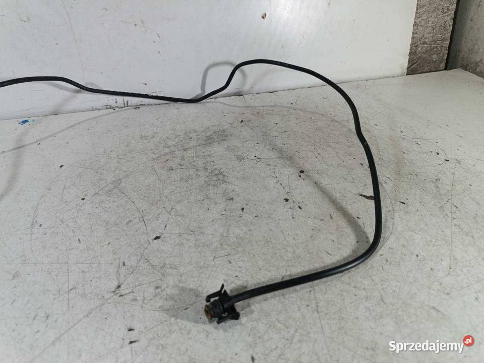 WĄŻ RURAKA WODY FORD FOCUS MK3 LIFT 15 TDCI wielkopolskie