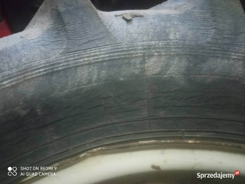 Opony Barum Bełżyce